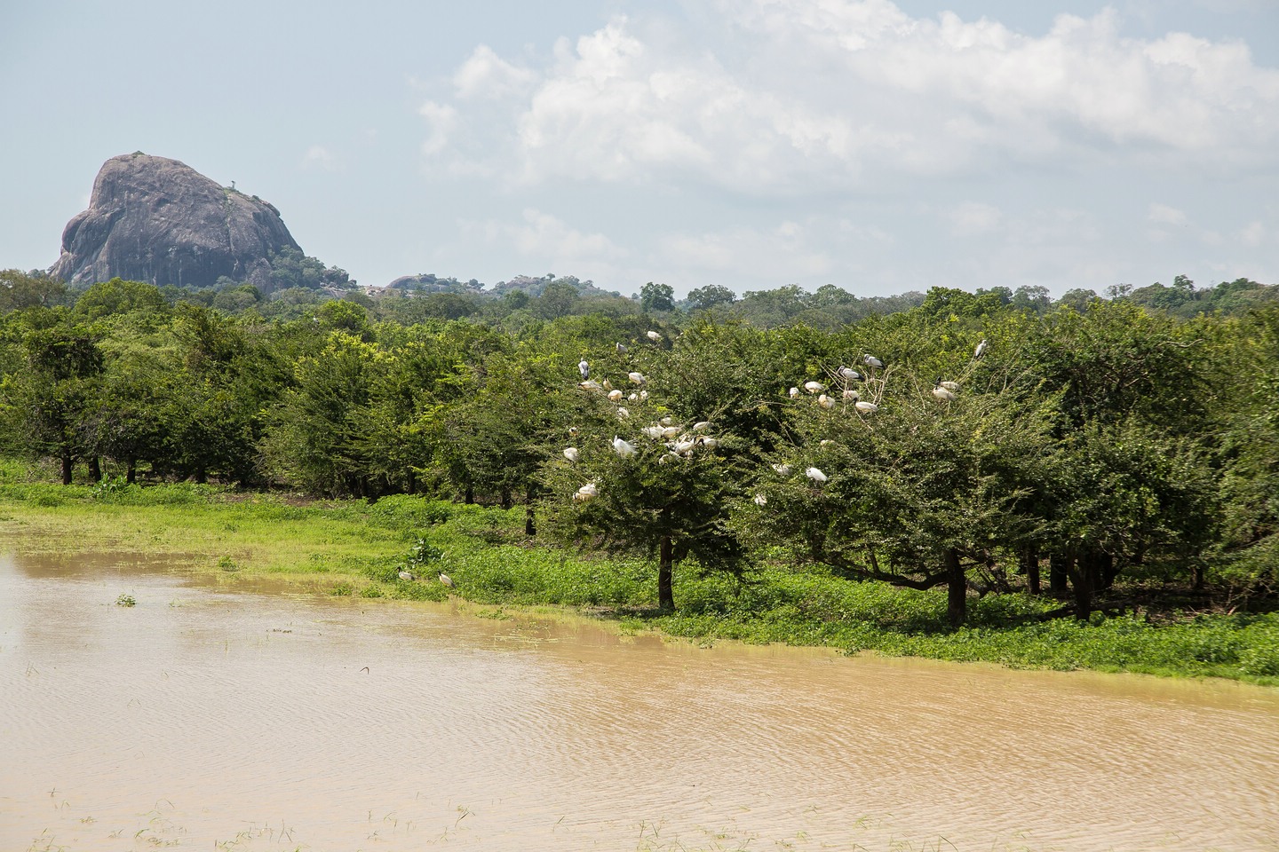Yala National Park